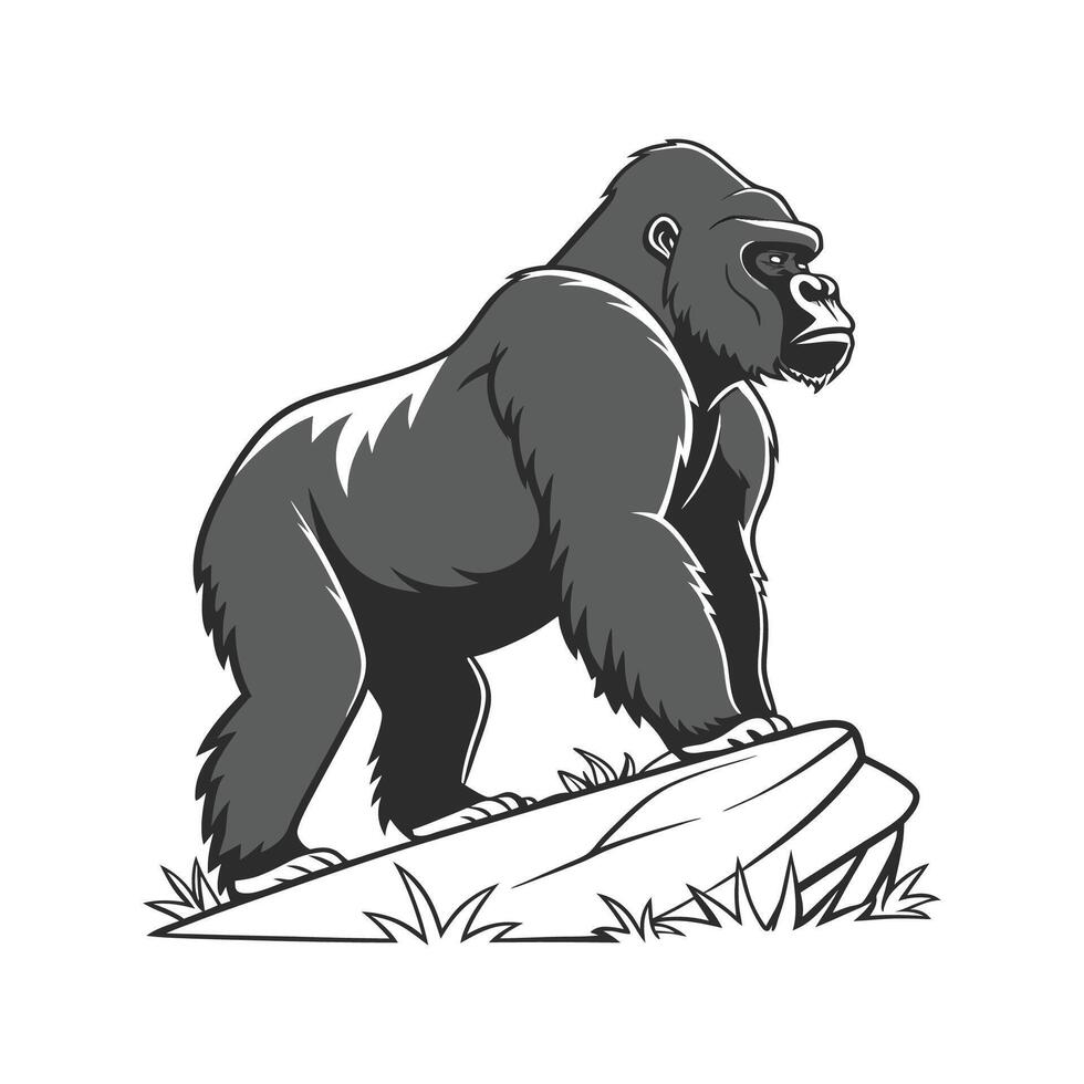 Imposing Gorilla on White Background vector