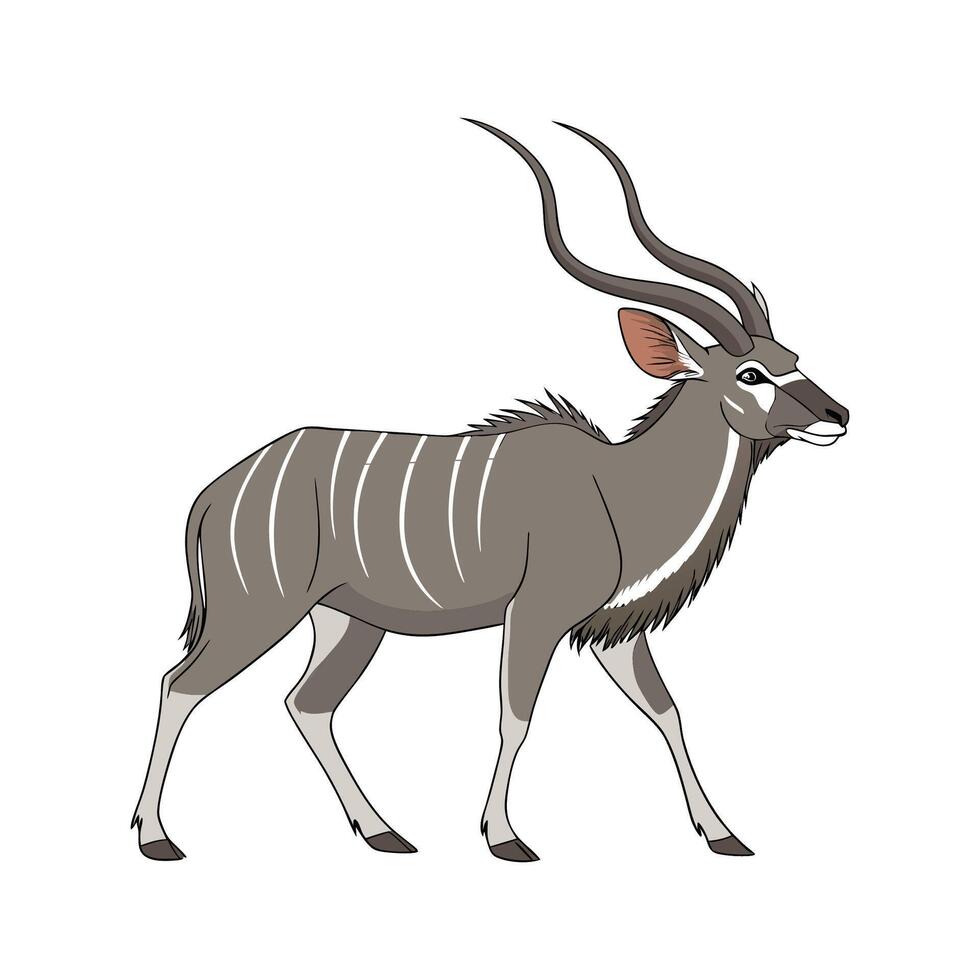 Majestic Greater Kudu Displayed on White Background vector