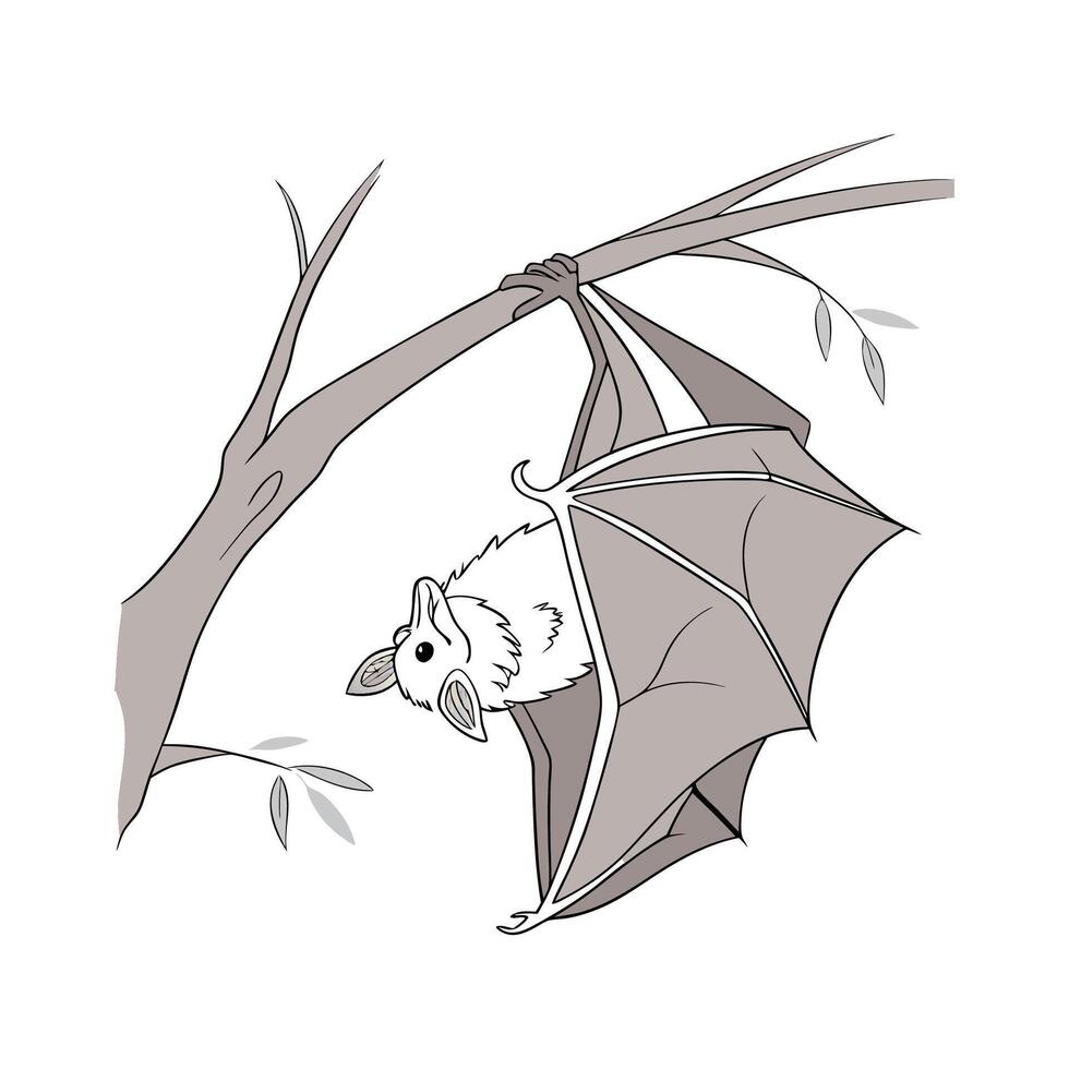 Intriguing Greater Horseshoe Bat Against White Background vector