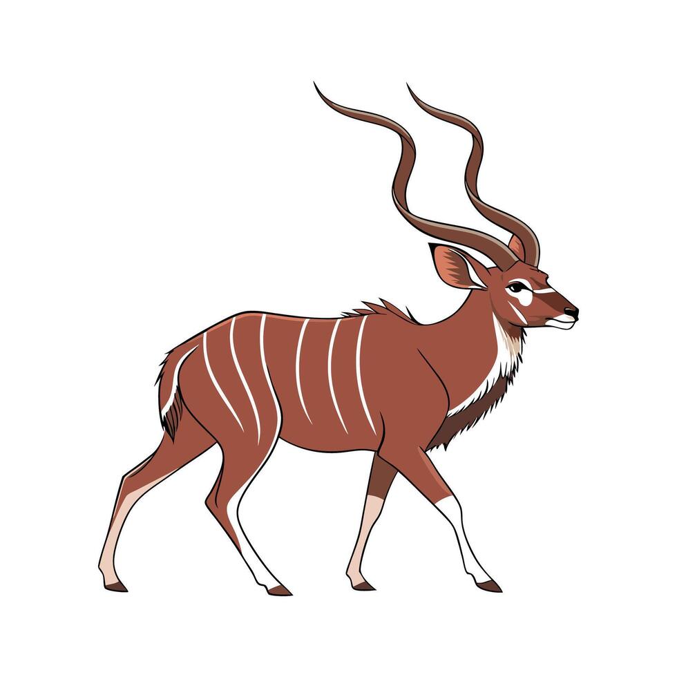Elegant Greater Kudu Captured on White Background vector