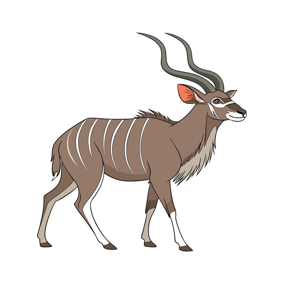Excellent Greater Kudu on a White Surface vector