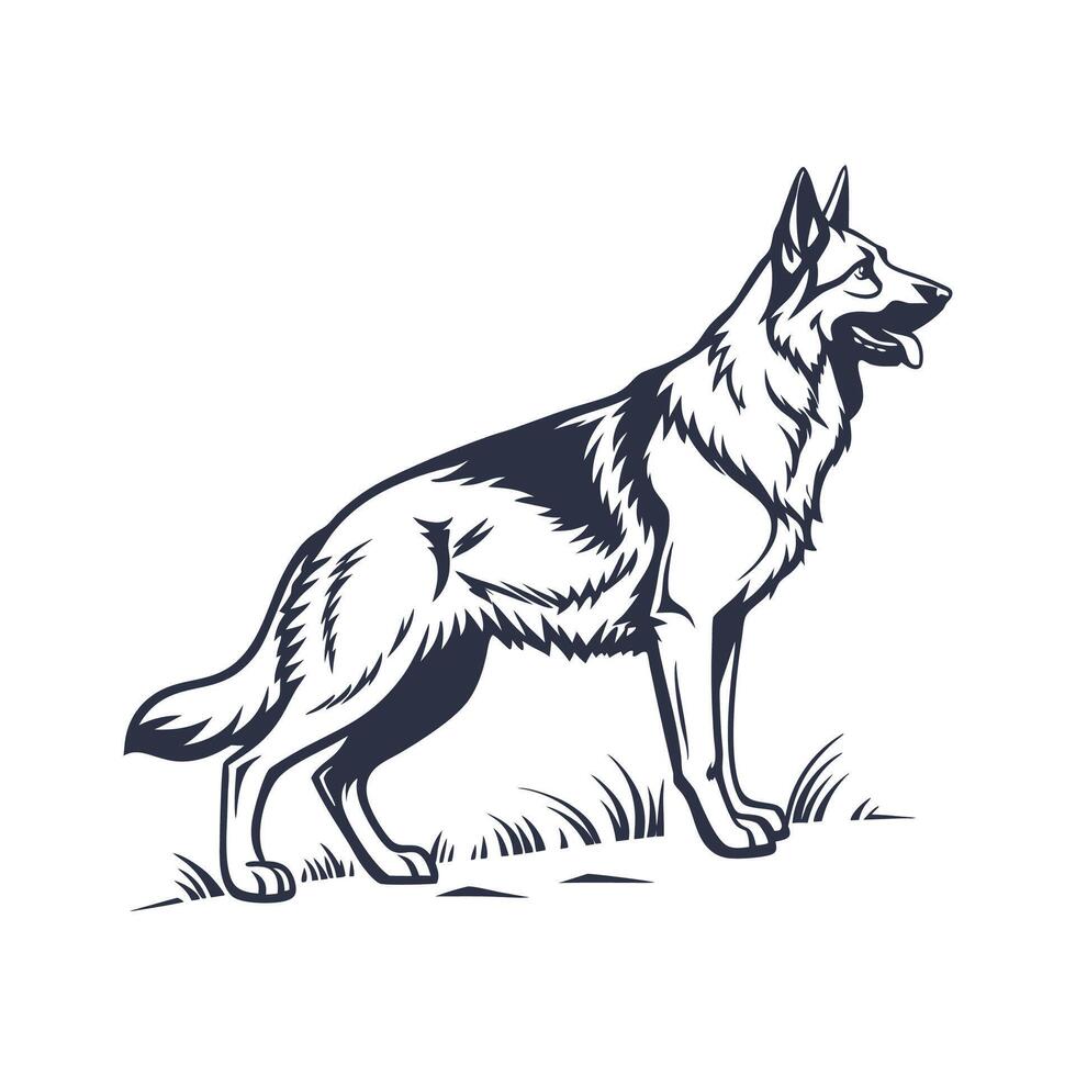 Playful German Shepherd on White Canvas vector