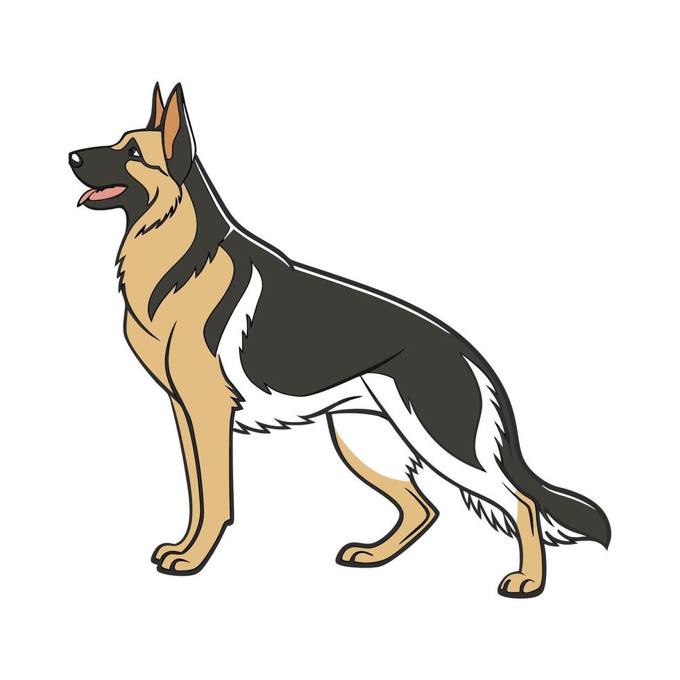 Elegant German Shepherd Displayed Against White Surface vector