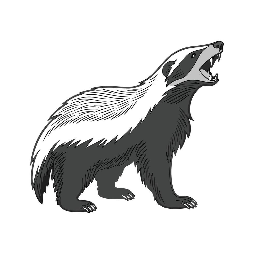 Dynamic Honey Badger on Clean Background vector