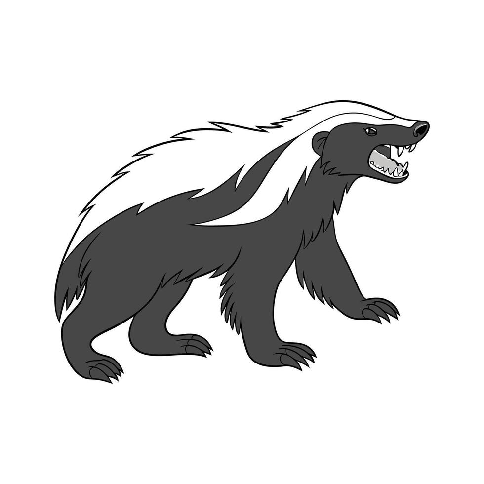 Adorable Honey Badger on White Surface vector