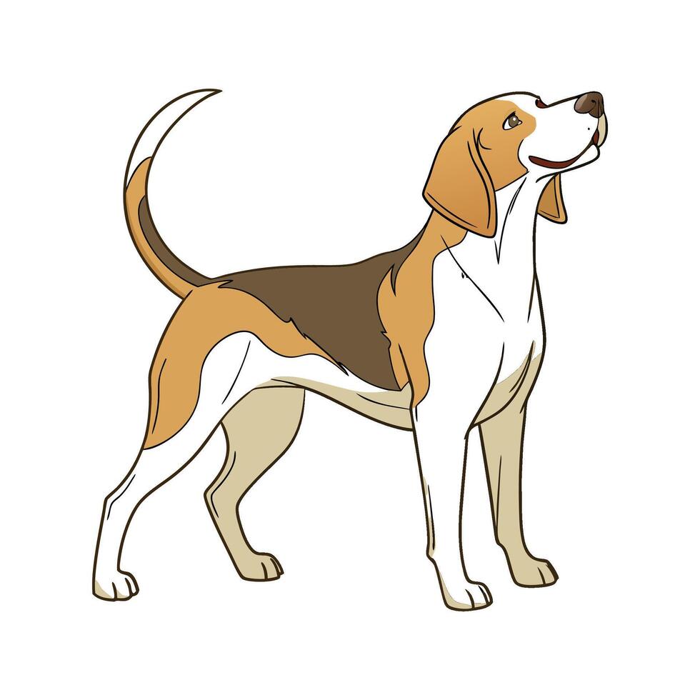 Charming Hound Dog on White Background vector