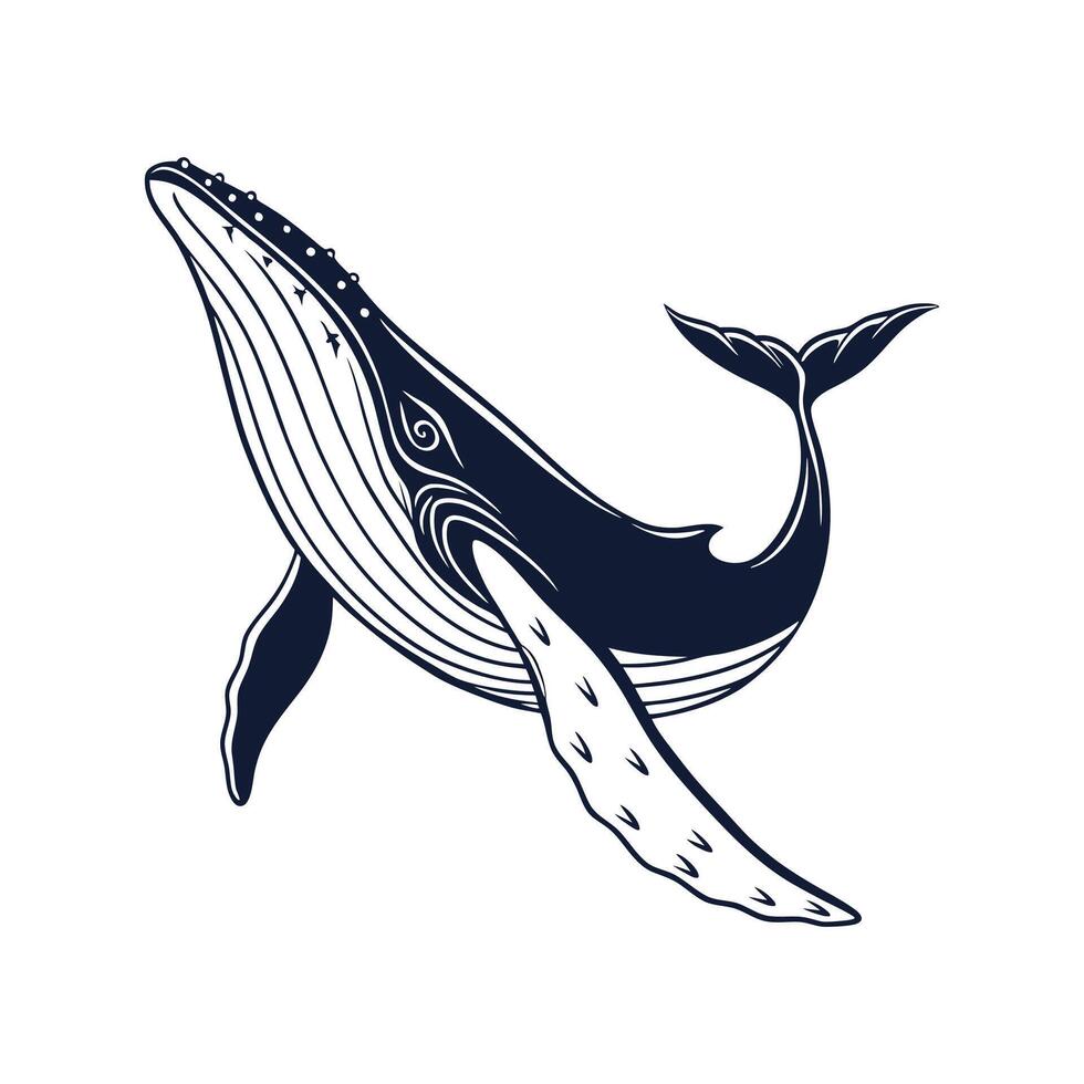 Majestic Humpback Whale on White Background vector