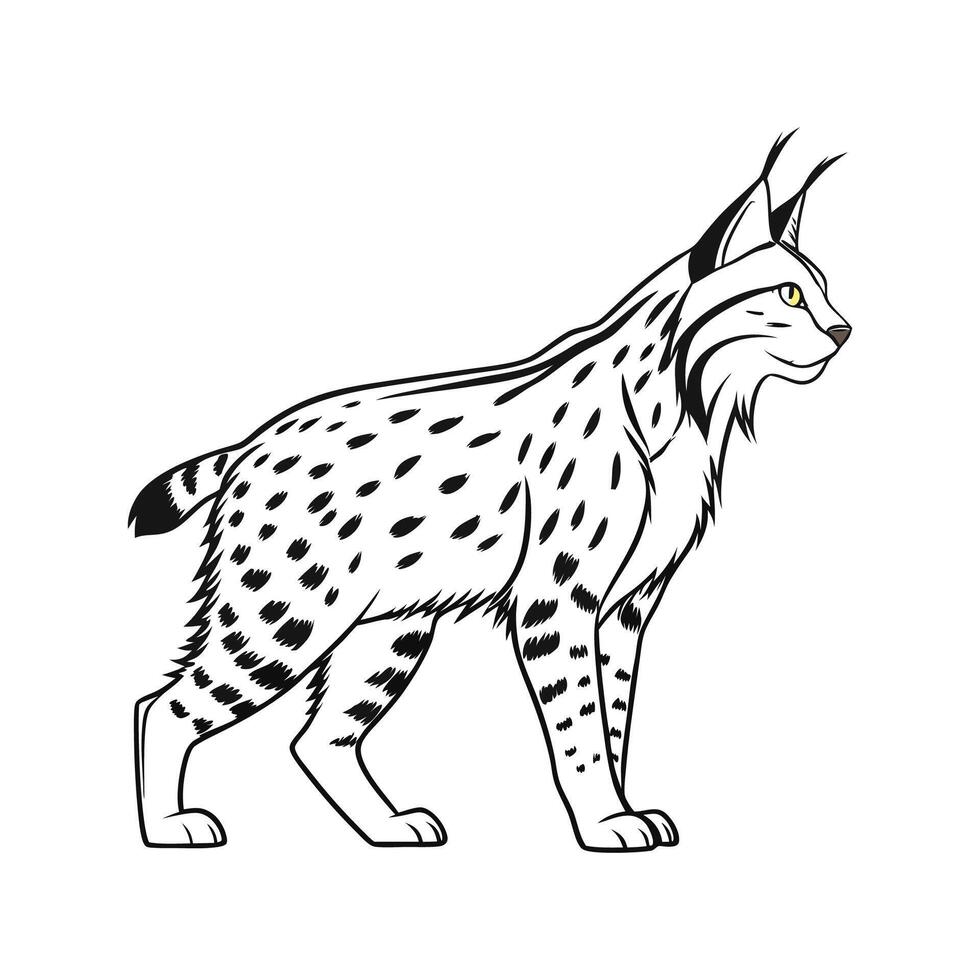 Elegant Iberian Lynx Against White Background vector