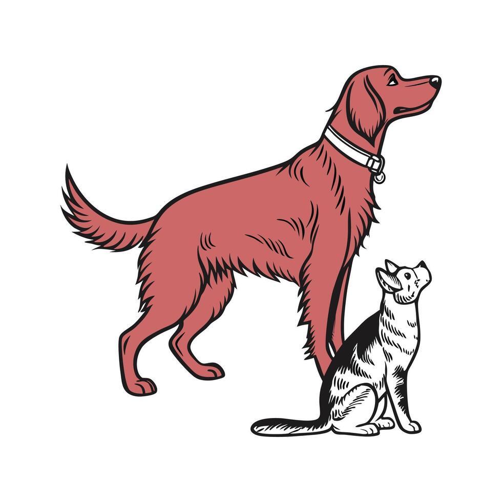 Dynamic Irish Setter with Manx Cat on Clean Surface vector