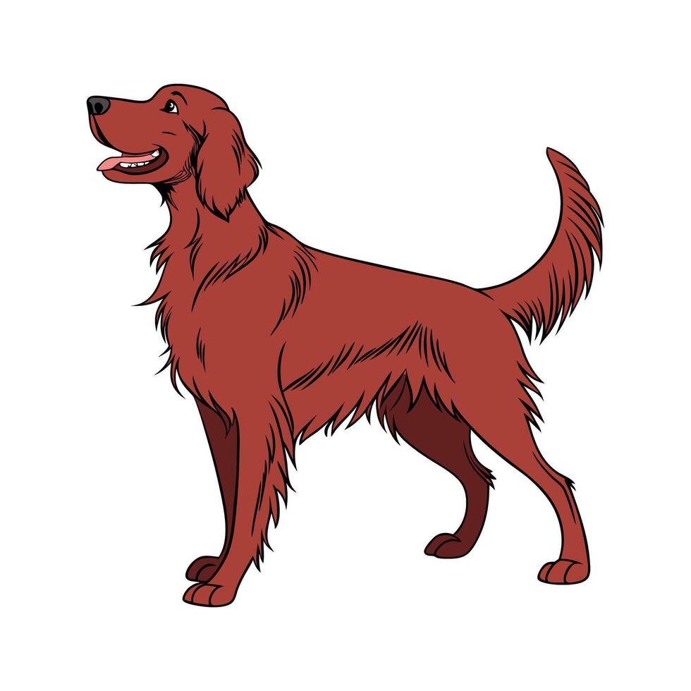 Elegant Irish Setter on White Surface vector