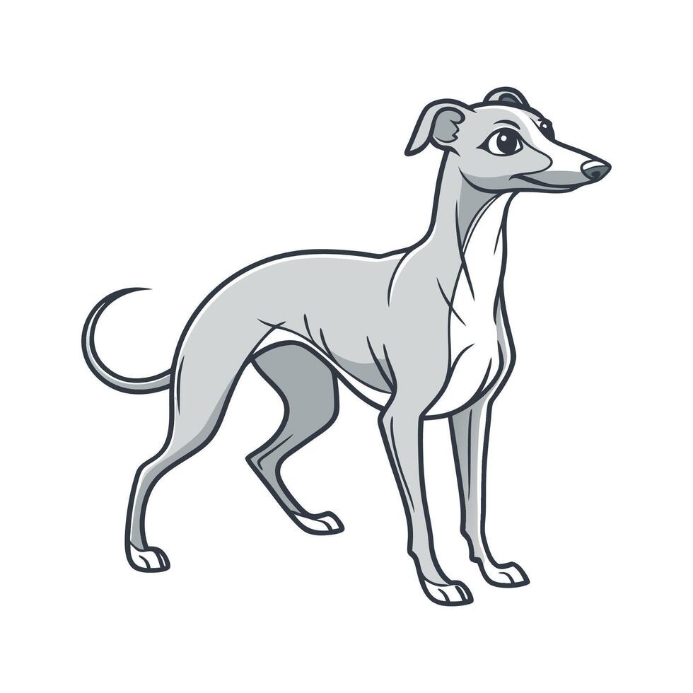 Dynamic Italian Greyhound on Clean Surface vector