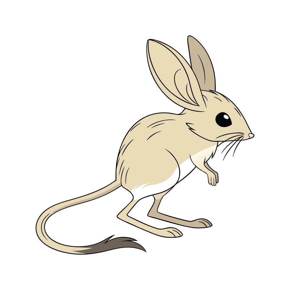 Dynamic Jerboa Displayed on Clean Background vector