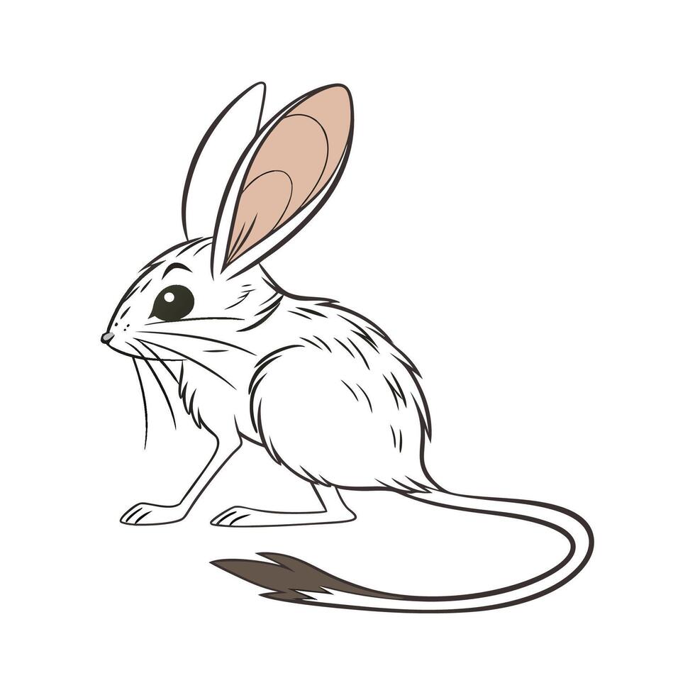 Charming Jerboa on White Surface vector