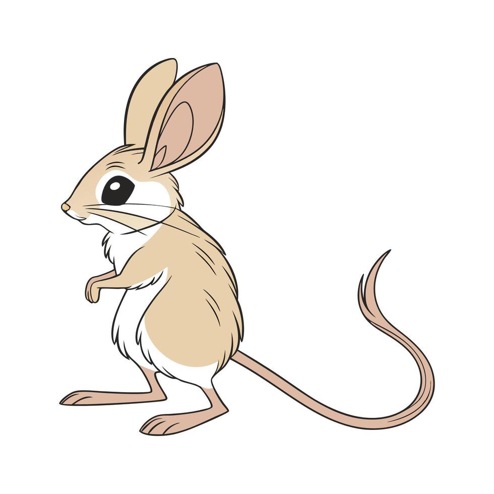 Adorable Jerboa on White Background vector