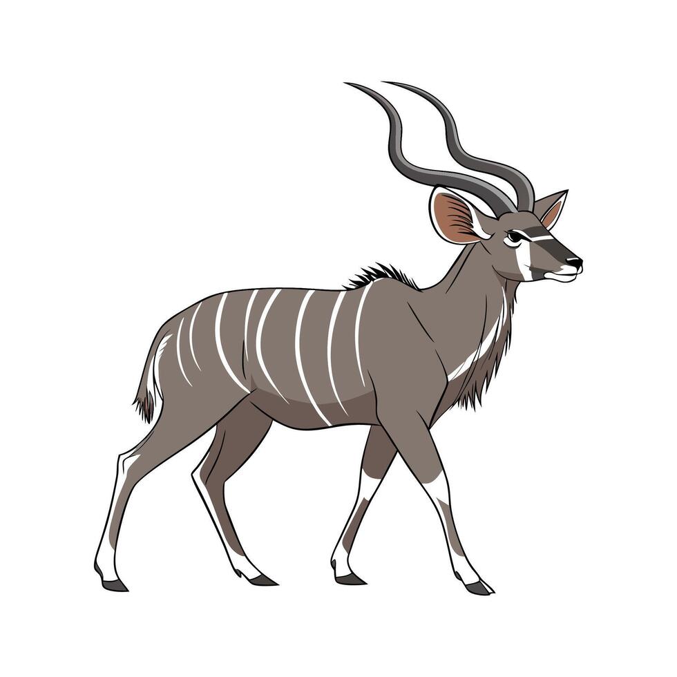 Impressive Kudu Displayed on Clean Background vector