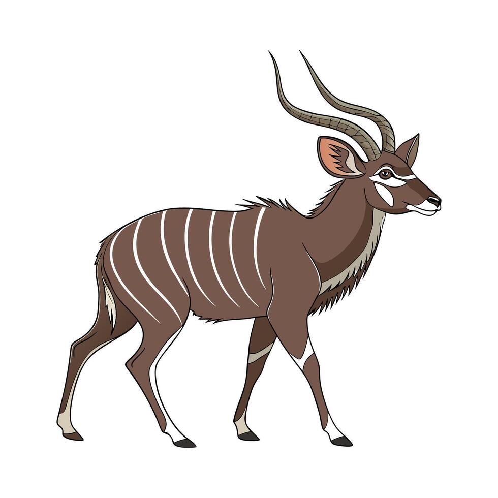 Elegant Kudu on White Background vector