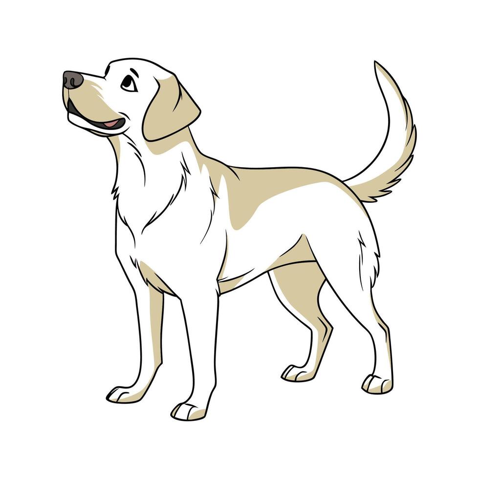 Adorable Labrador Retriever on Clean Background vector