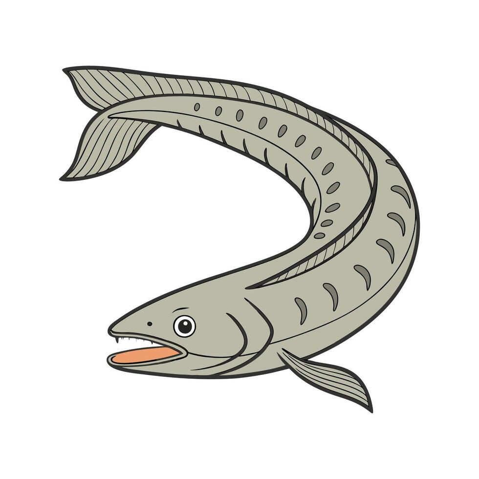 Lamprey on a White Background vector