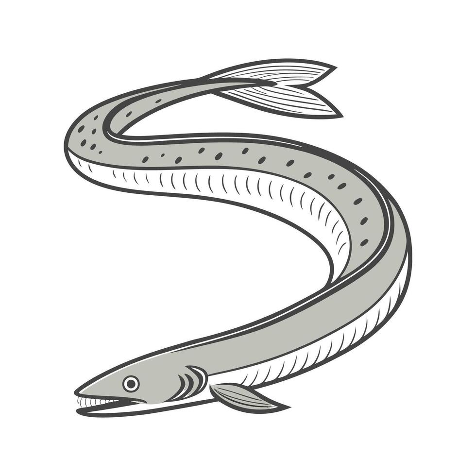 Detailed Lamprey Illustration vector