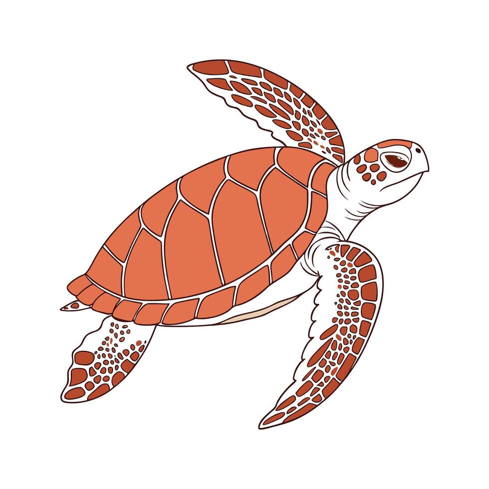 Loggerhead Turtle in Natural Habitat vector