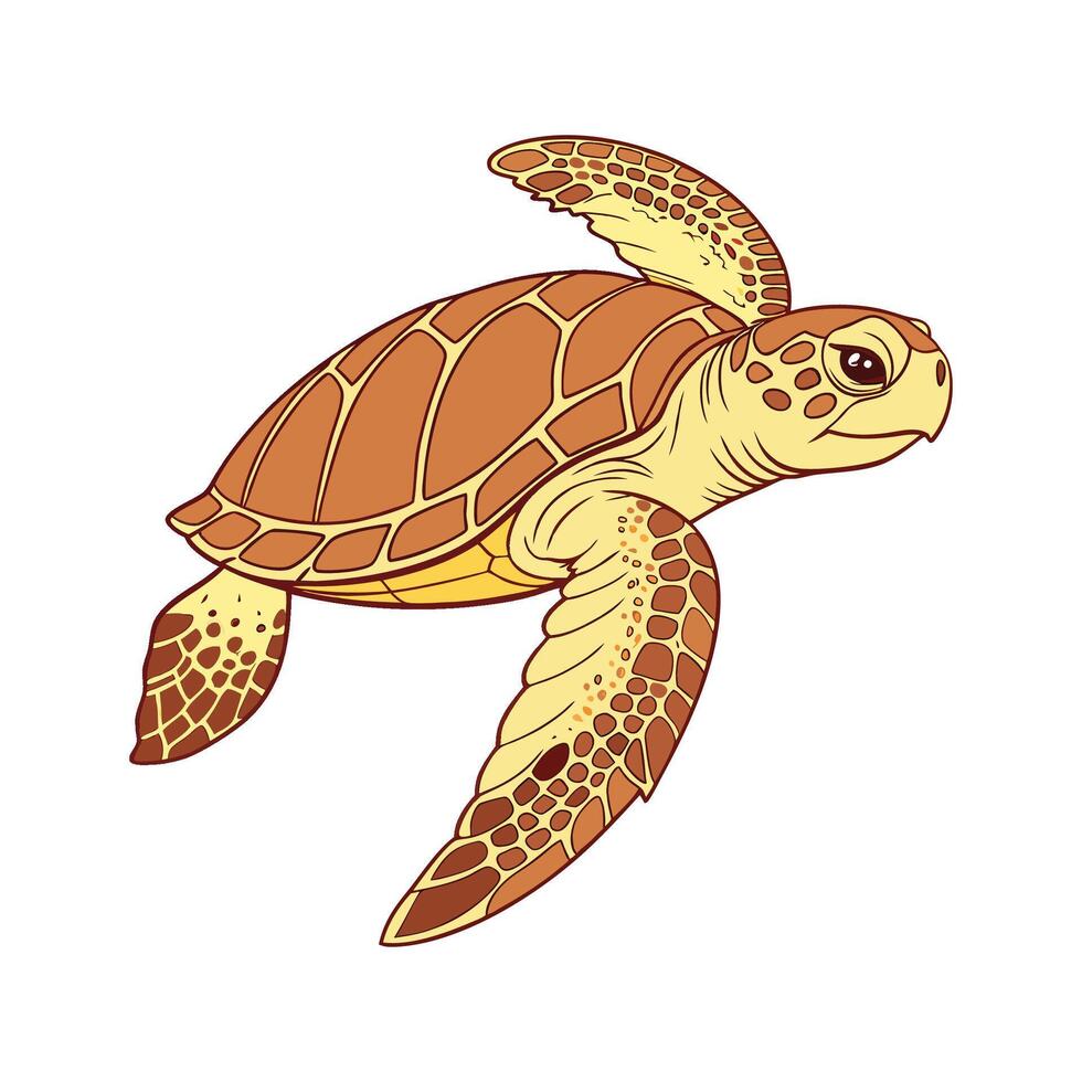 Charming Loggerhead Turtle vector