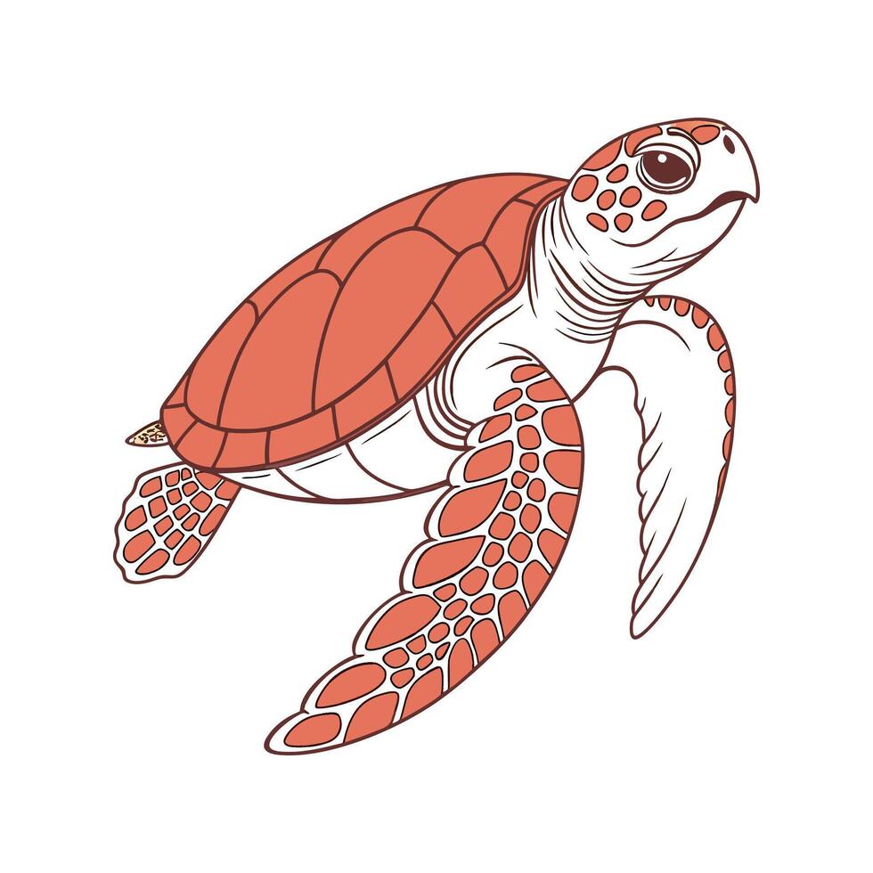 Loggerhead Turtle Illustration vector