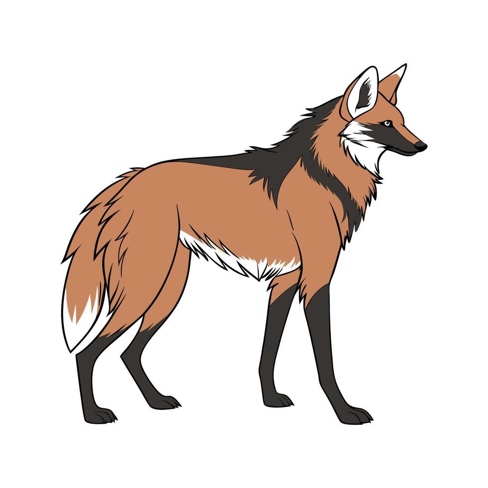 Charming Maned Wolf vector