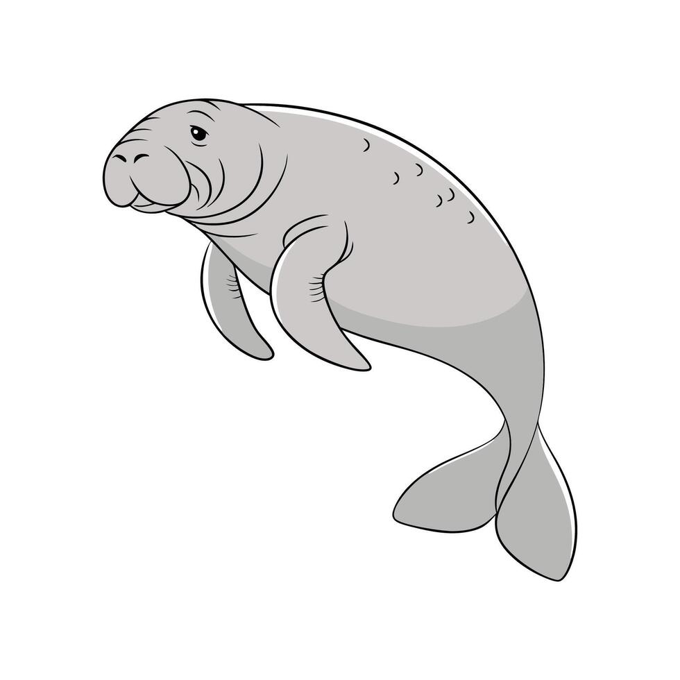 Manatee in Natural Habitat vector