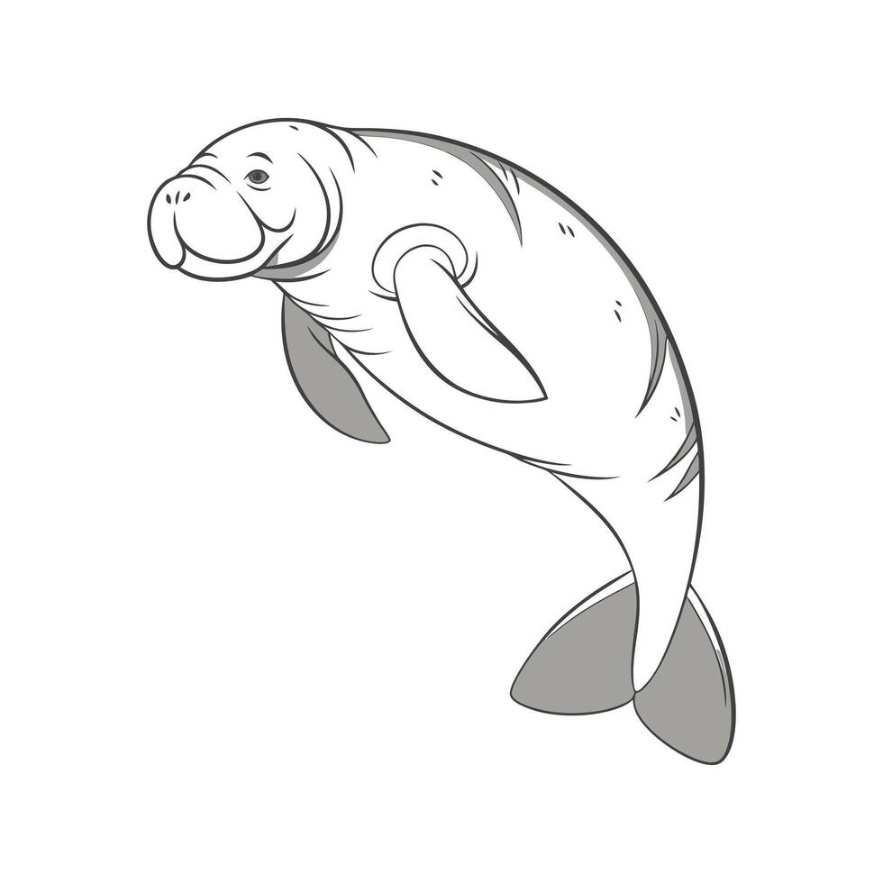Manatee Close Up vector