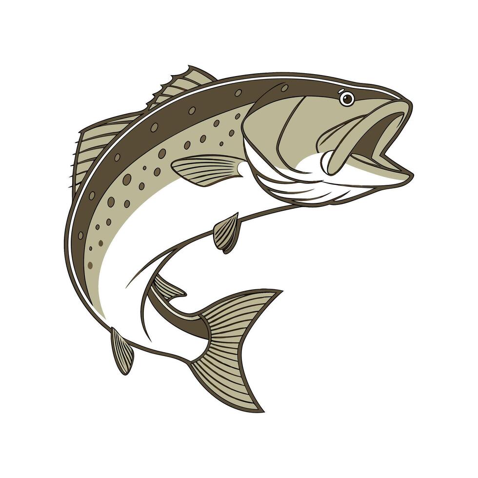 Charming Murray Cod Fish vector