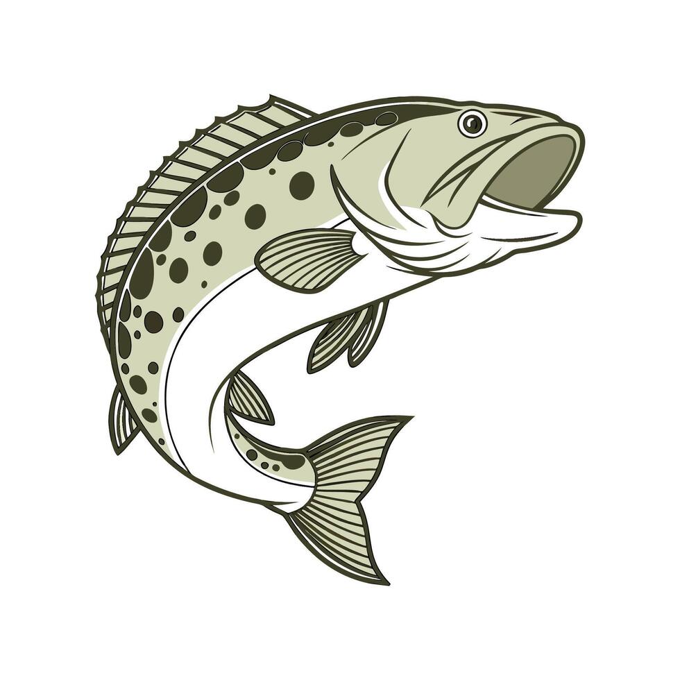 Murray Cod in Natural Habitat vector