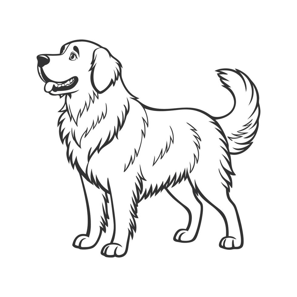 Charming Newfoundland Dog Illustration vector