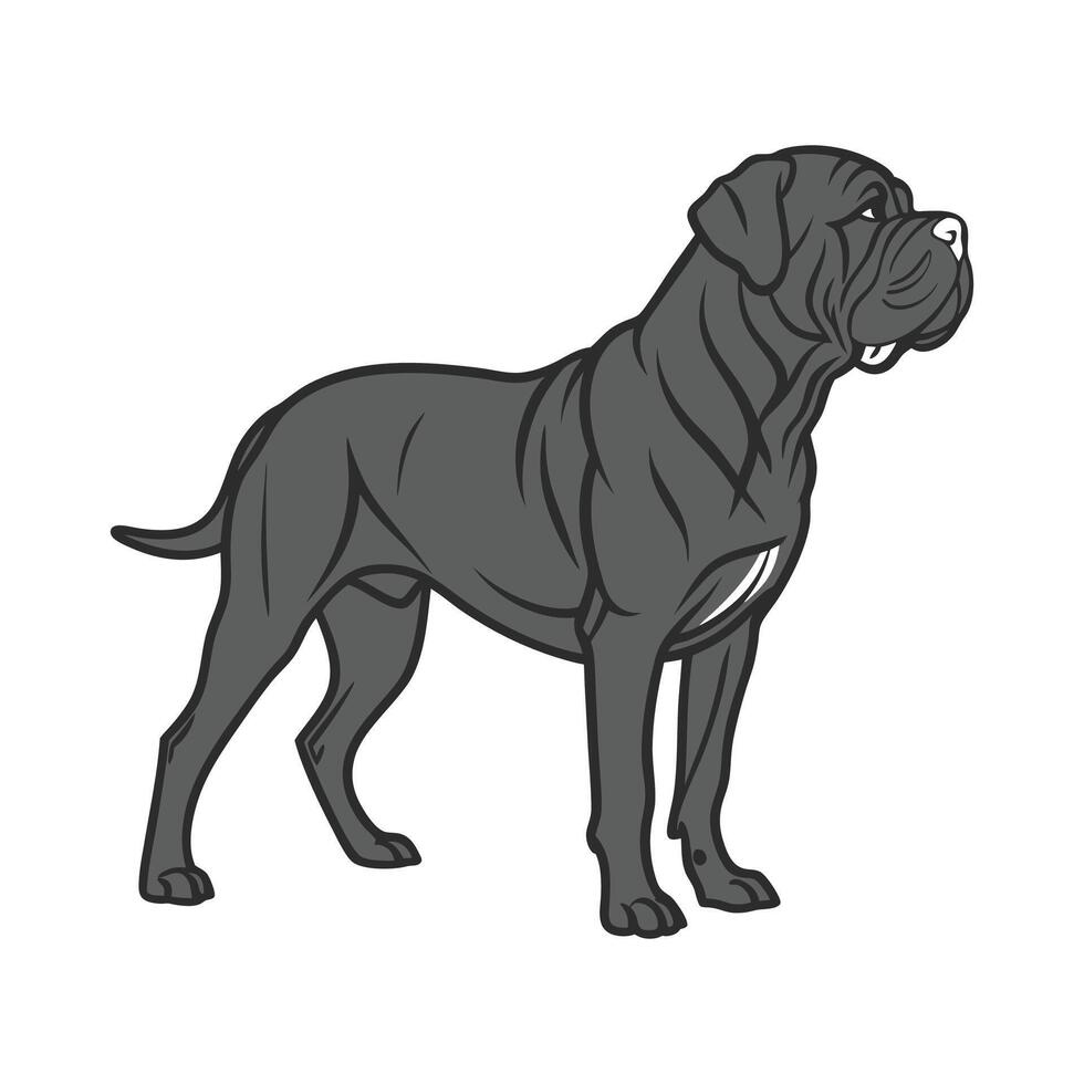 Charming Neapolitan Mastiff vector