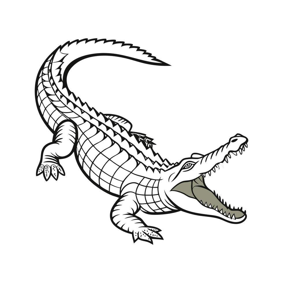Charming Nile Crocodile Illustration vector