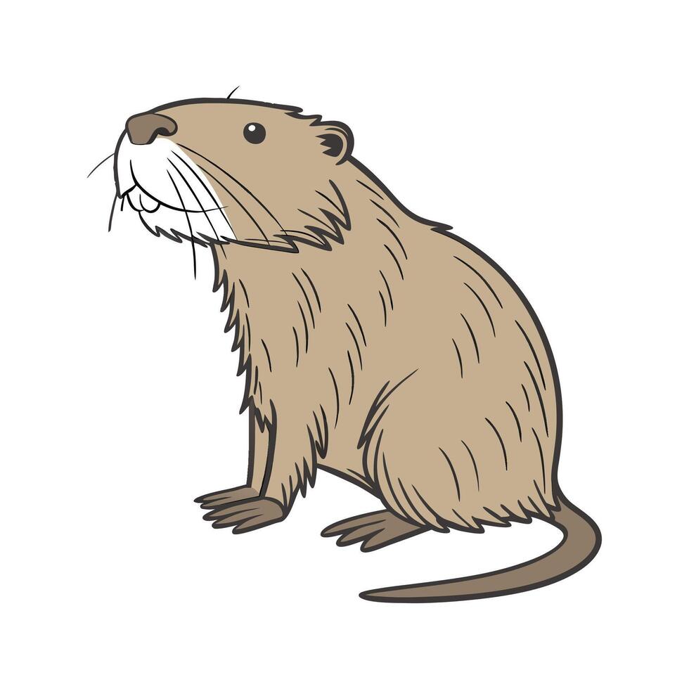 Nutria Illustration on White vector