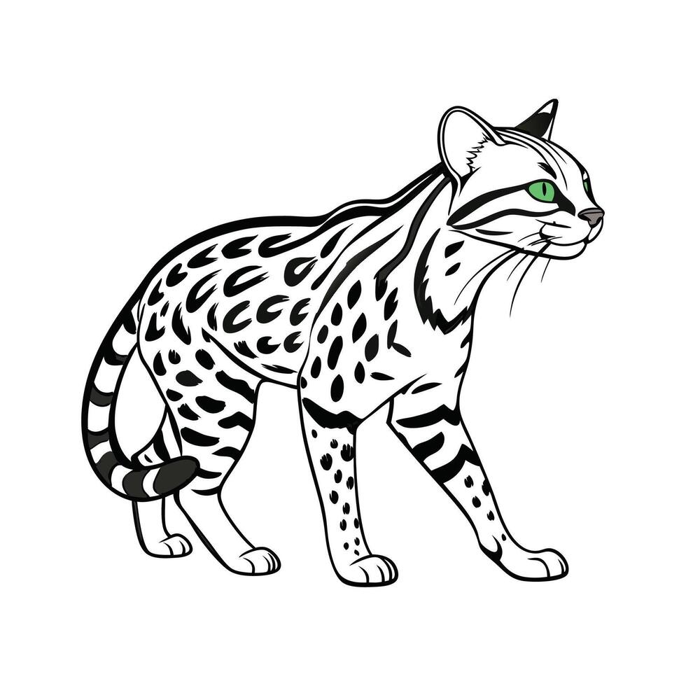 Ocelot Wild Cat Illustration vector