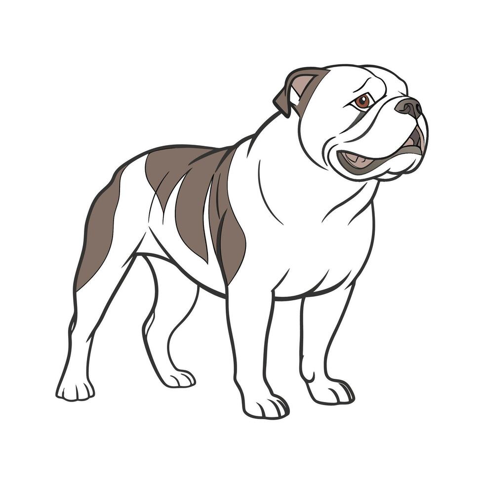 Olde English Bulldog CloseUp vector