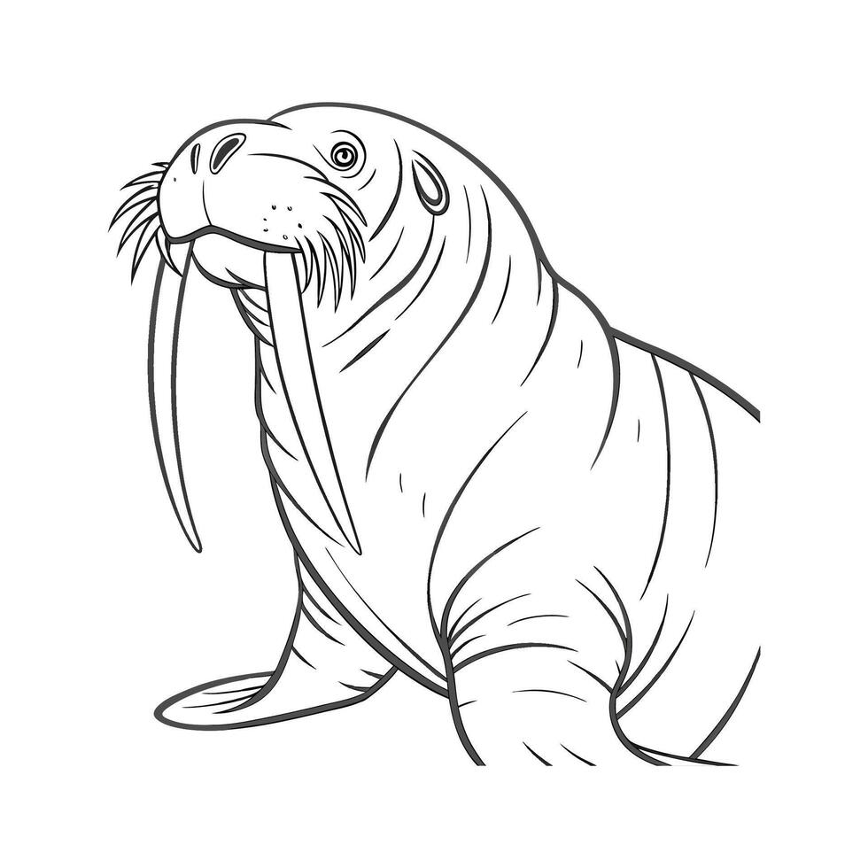 Pacific Walrus in Natural Pose vector