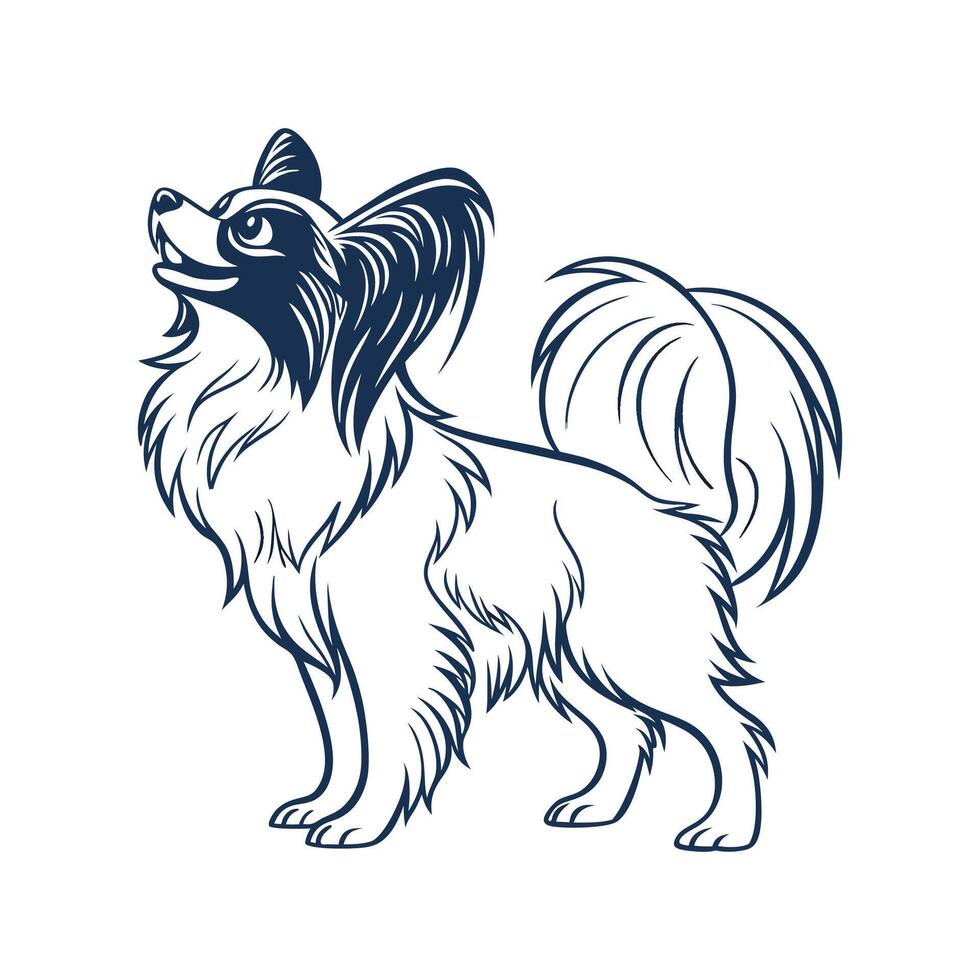 Papillon Dog on White Background vector