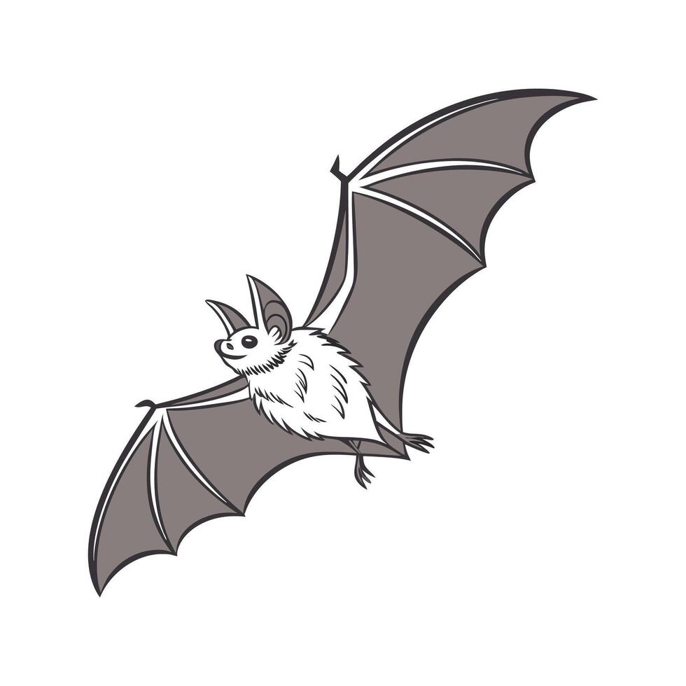 Pipistrelle Bat in Flight vector