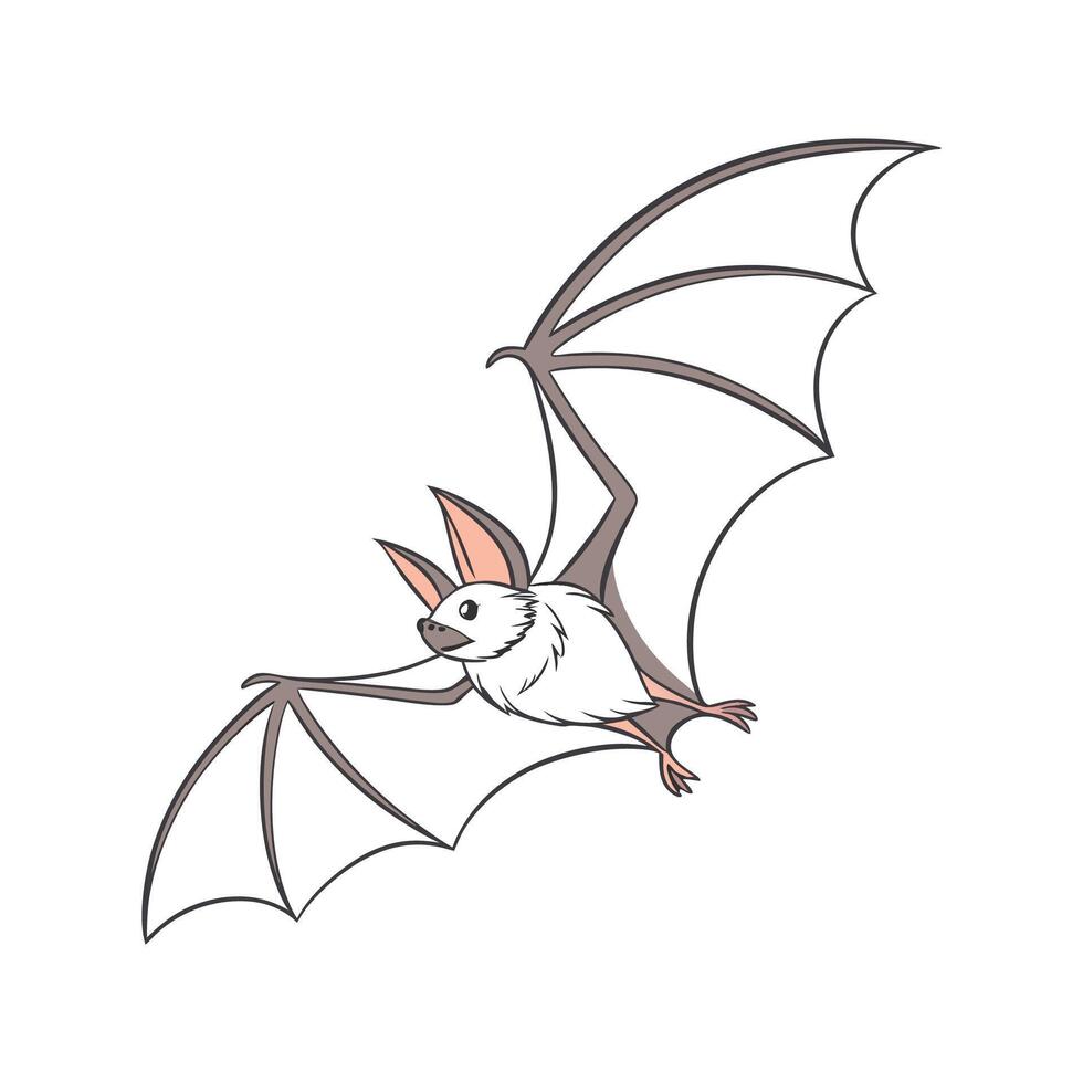 Pipistrelle Bat CloseUp vector