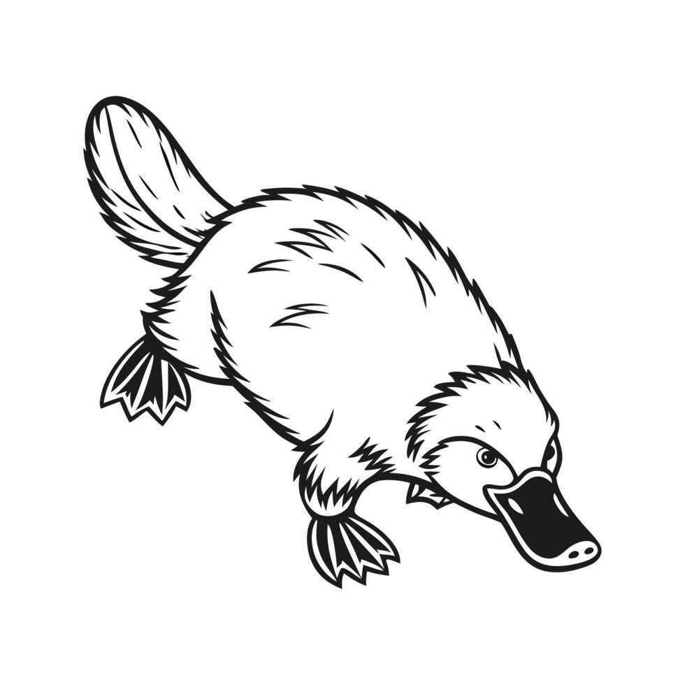 Charming Platypus Illustration vector