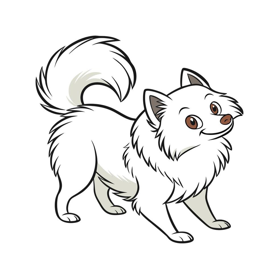 Pomeranian Dog on White Background vector