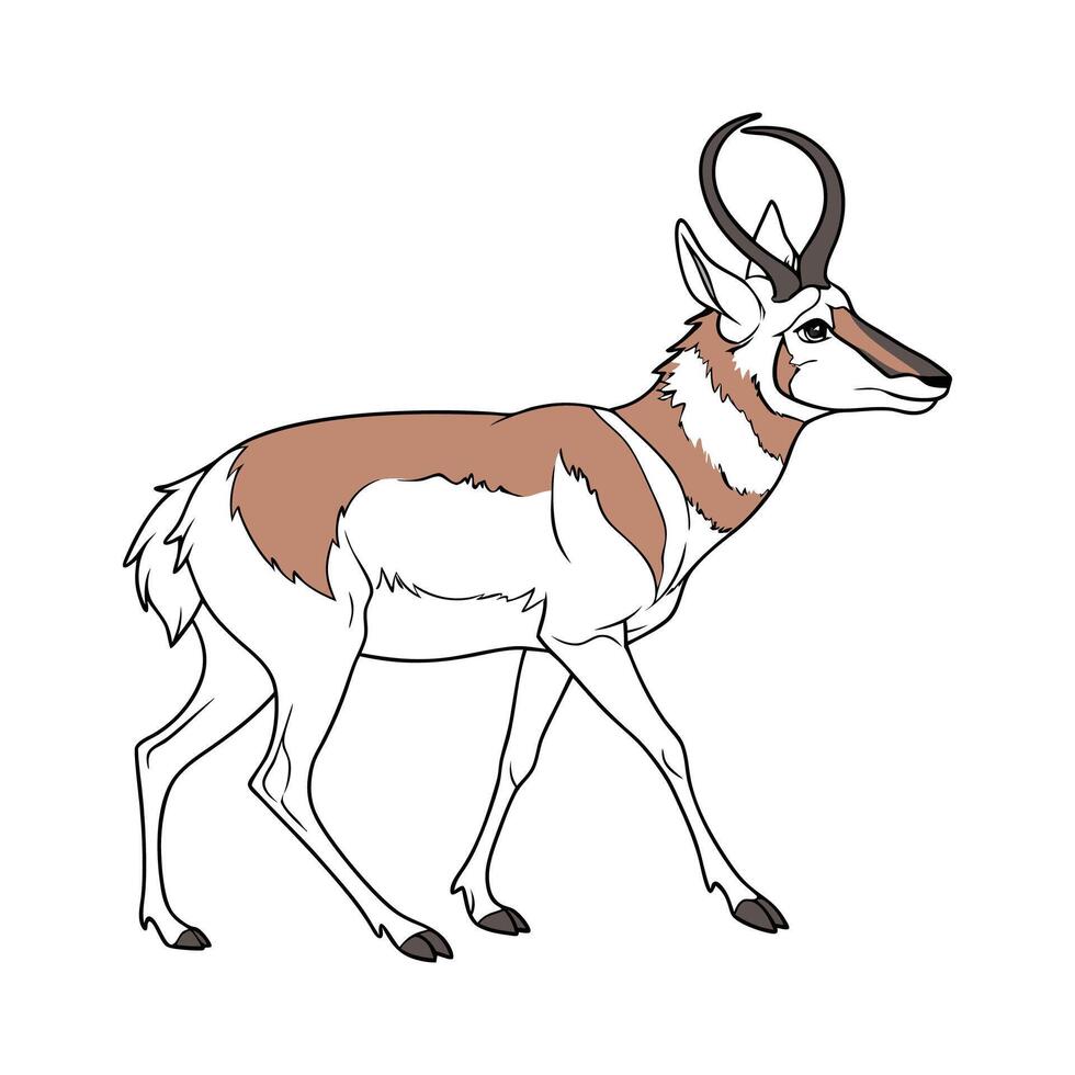 Pronghorn in Natural Habitat vector