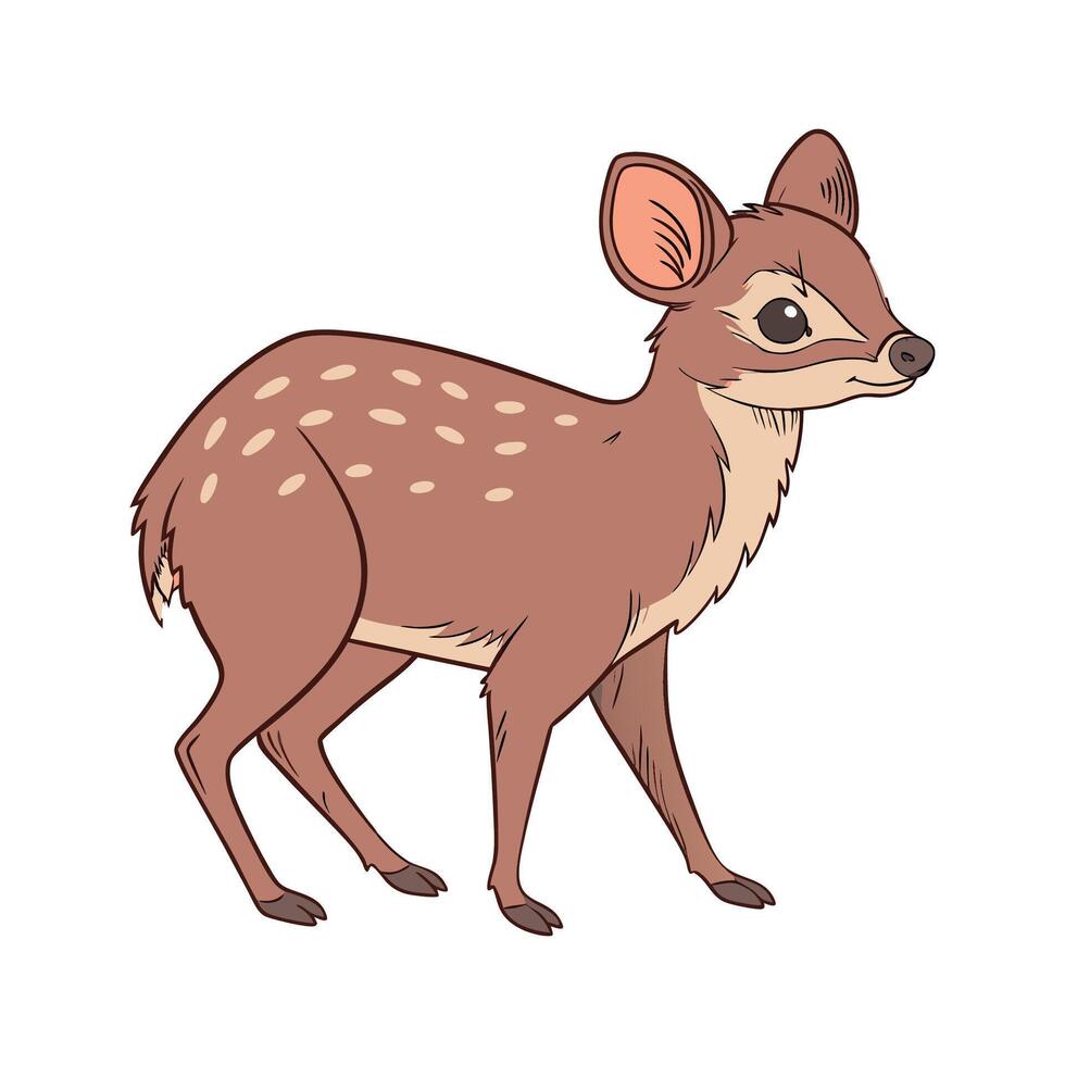 Pudu CloseUp Illustration vector