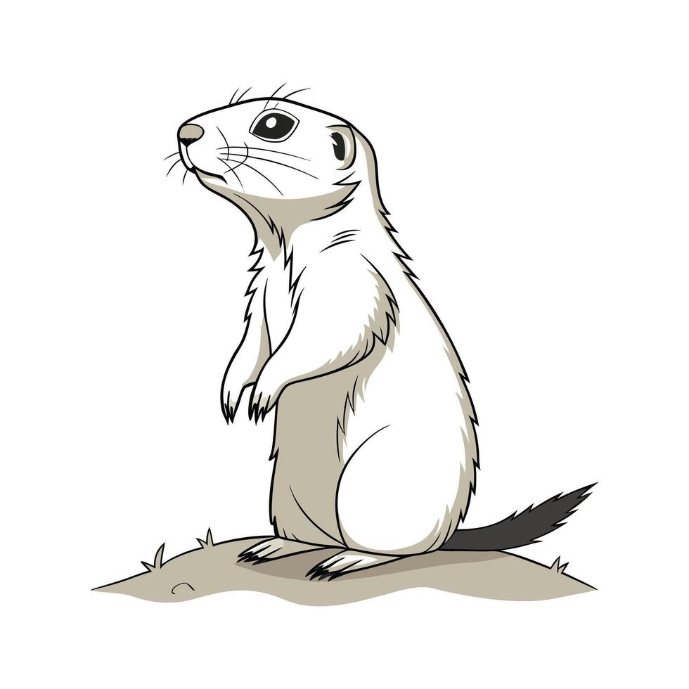 Prairie Dog CloseUp vector