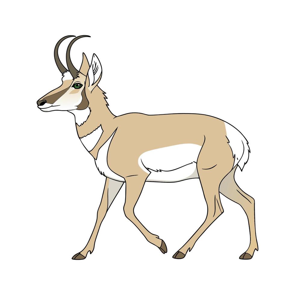 Charming Pronghorn Antelope vector