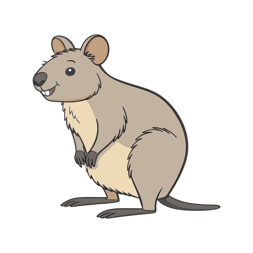 Charming Quokka Illustration vector