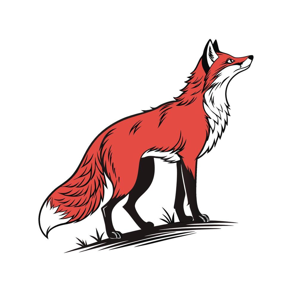 Charming Red Fox vector