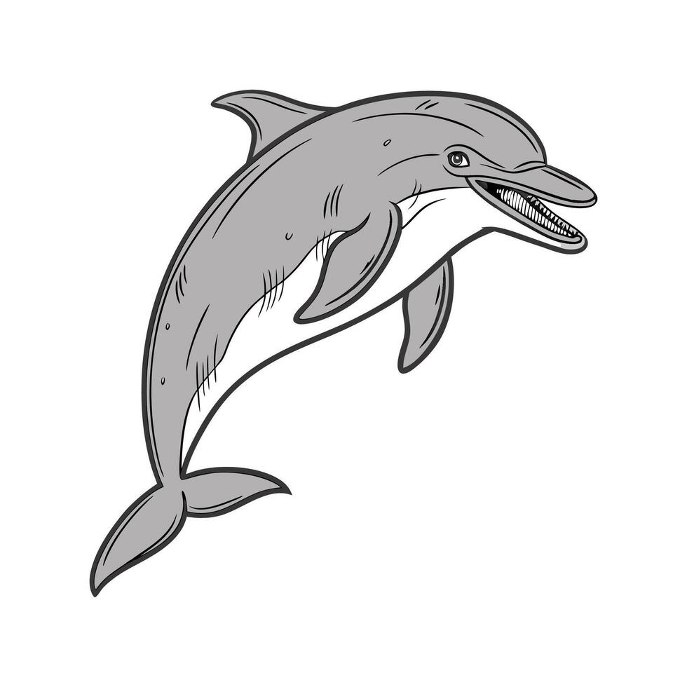 RoughToothed Dolphin in Natural Habitat vector